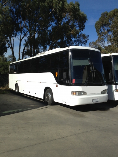 33 Passenger Seat Standard Midi Coach | Bus Charter Australia